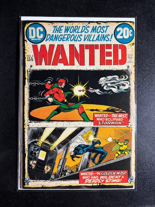 Wanted: The World’s Most Dangerous Villains! #6 (Feb 1973, DC Comics)